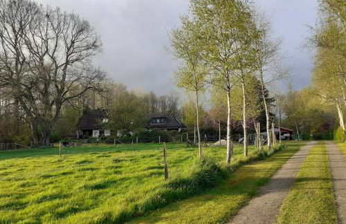 Fewo Birkenallee - Lavendel - Photo 24