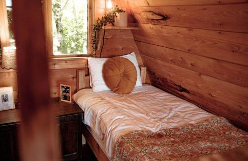 Pattys Barn Holiday Cottages, Cabins and Venue Hire - Foto 10