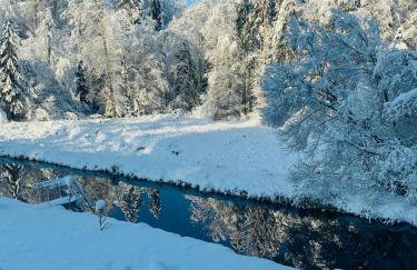 HJEM - Tiny Homes direkt am Wald zwischen Allgäu & Bodensee - Foto 9