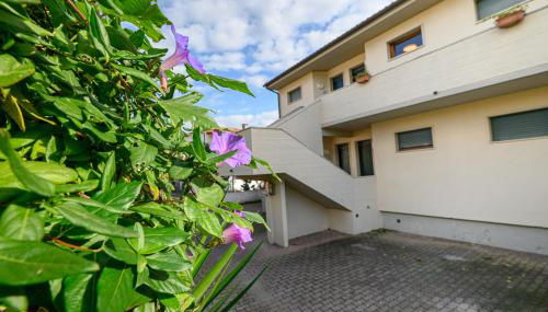 Elbamar Marina Di Campo - Foto 3