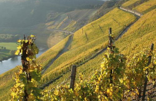 Ferienhaus Old Winery - Foto 65