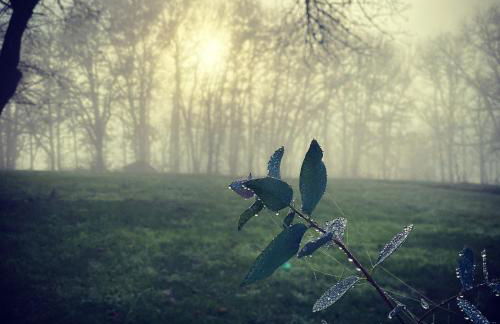 Domaine de Cazal - Gîte 2 pers avec piscine au cœur de 26 hectares de nature préservée - Foto 35