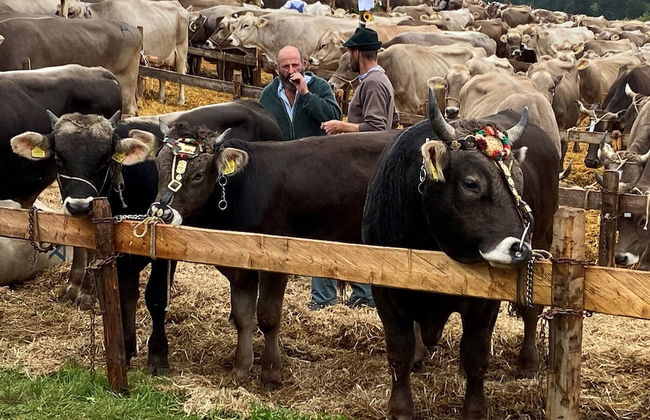 Charming Duplex Apartment - Foto 12