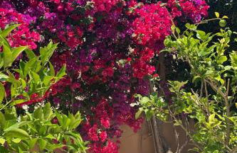 Holiday Home in Sa Ràpita mit Großer Terrasse by Interhome - Foto 7