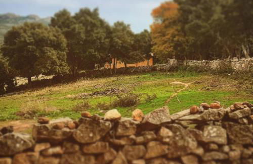 Eco Lodge nella natura Con Piscina privata "La Grande Quercia" - Foto 42