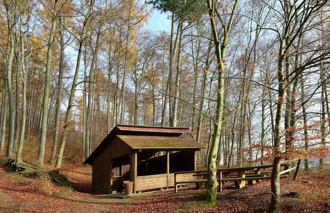 Apartment in Lowensen With Terrace - Foto 39