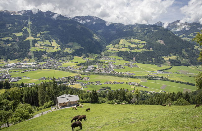 Hamberg Hütte - Foto 2