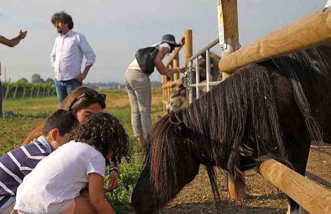 Visita di una fattoria biodinamica + Degustazione di vino - Foto 3