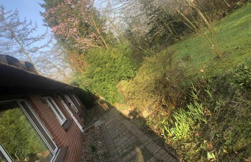 Bücherträume - Foto 19