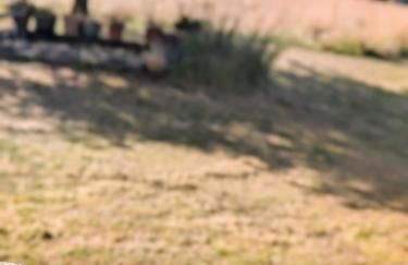 La Vieille Maison aux Canards - Foto 44