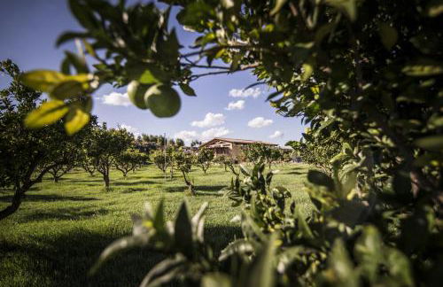 Agriturismo Il Giriatello - Foto 55