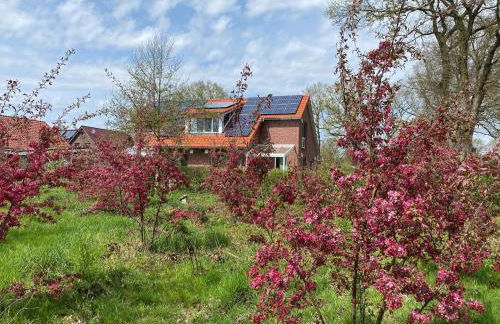 Friedeburga - Photo 1