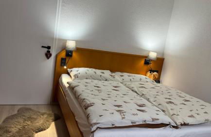 Winterwohnung Almberg - Foto 4