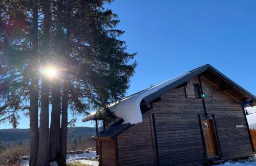 Chalet du Bois Joli - Foto 21