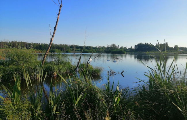 Nice Chalet by the Woods in Saint-leger - Foto 31