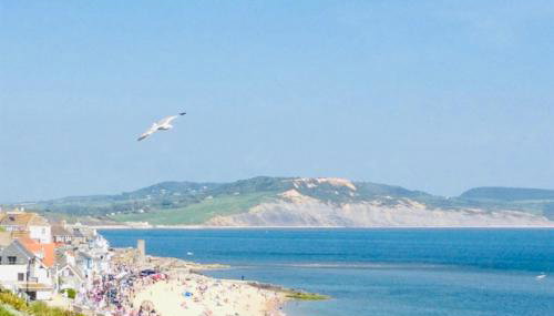 Sea Cliff View Designer Home - Foto 2