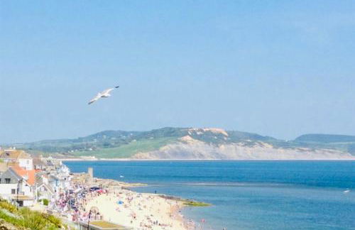 Sea Cliff View Designer Home - Photo 2