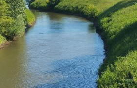 Erftmündung - Foto 22