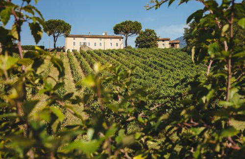 Fattoria Camigliano, Luxury Farmhouse with Pool inside a Wine Estate - Foto 11