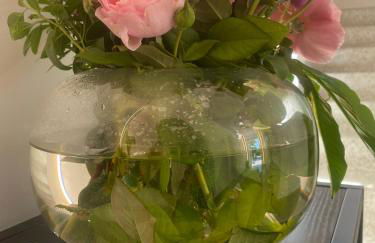 Sul VenTo del Po - Foto 72