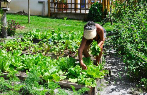 Aldeia Corumbau - Photo 42