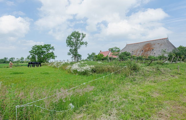 Farmhouse by Lauwers River With Rowing Boat - Foto 36