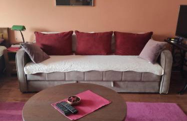 Studio apartman Vuković - Foto 10