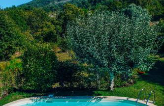 Just Like Home - Casa do Cadinho - Foto 36