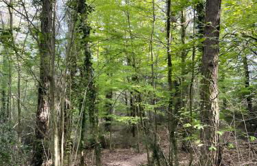 Cal Tatanet - Photo 24