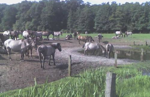 Kleine Wohnung mit Terrasse - Foto 18