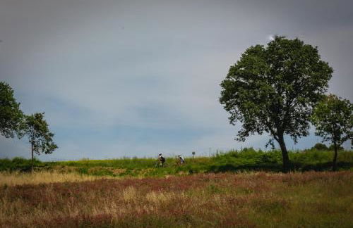 Agriturismo Ceriano - Foto 17