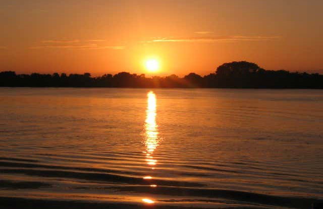 Paseo en barco privado por los Pantanos de Centla - Foto 7
