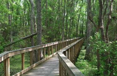 Salt Life Loft by Sand Seeker Vacations - Foto 22