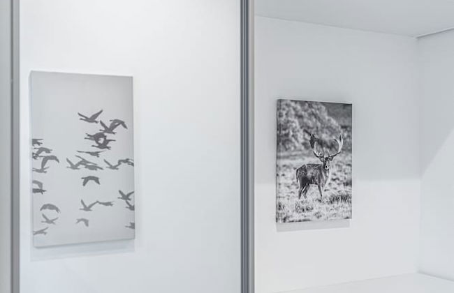 GO FINE Tengachaya BROWN - Foto 42