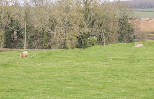 Bumble Bee - Photo 25