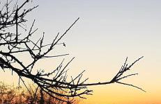 Βίλα Αρμονία Ορεινή Κορινθία - Foto 51