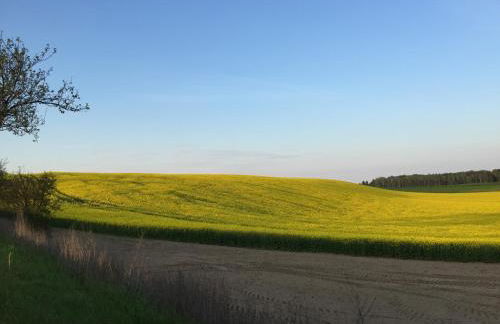 Ferienhaus Biene - Photo 70