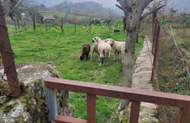 Quarto da eira - Foto 12