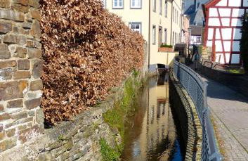 Ferienhaus Schlupfwinkel - Foto 16