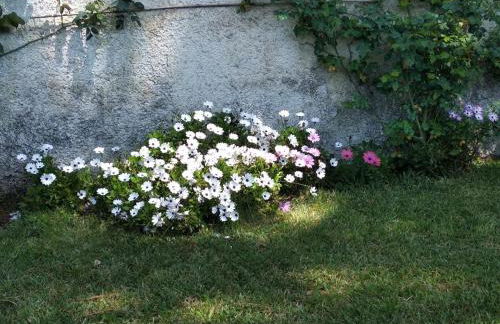 Alimede al Circeo - Foto 13