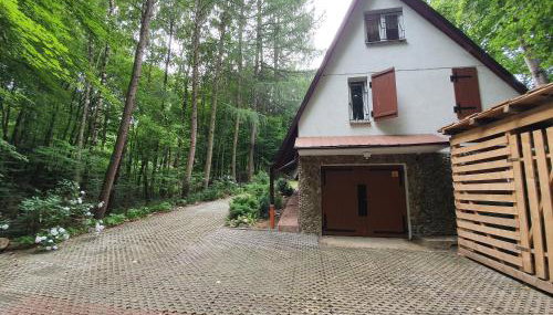 Leśny Zakątek - Foto 3