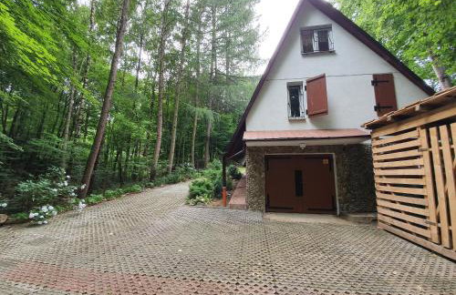 Leśny Zakątek - Foto 3