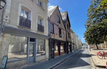 Le Cheverny Between the banks of the Loire and Old Tours - Foto 22