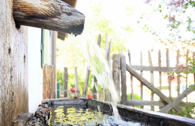 Gut Stohrerhof - Foto 56