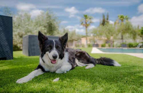 Villa Rural Avril - Foto 80