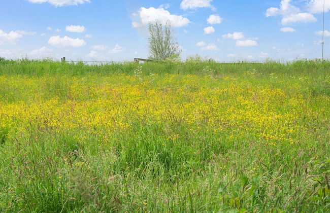 Farmhouse With Terrace in Montfoort - Photo 38