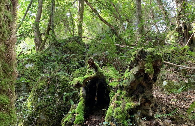 Agroturismo Urresti - Foto 38