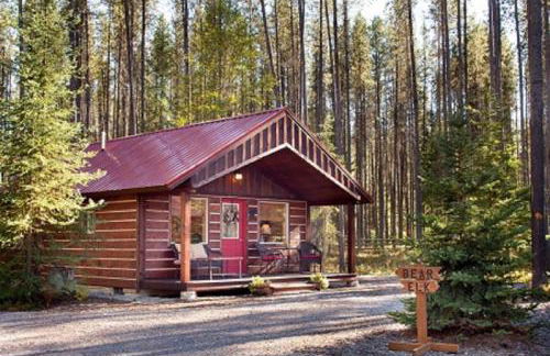 Reclusive Moose Cabins - Photo 1