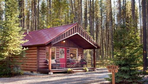 Reclusive Moose Cabins - Photo 1