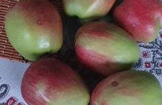 Hephaestus Appartments Litochoro -A1 - Foto 36